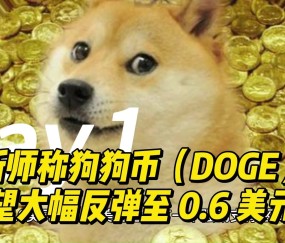 开云登录入口-关于狗狗币攀升势惊人，一夜飙升Gate%，加密市场沸腾，震惊市场的信息