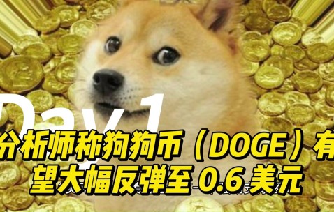 开云登录入口-关于狗狗币攀升势惊人，一夜飙升Gate%，加密市场沸腾，震惊市场的信息