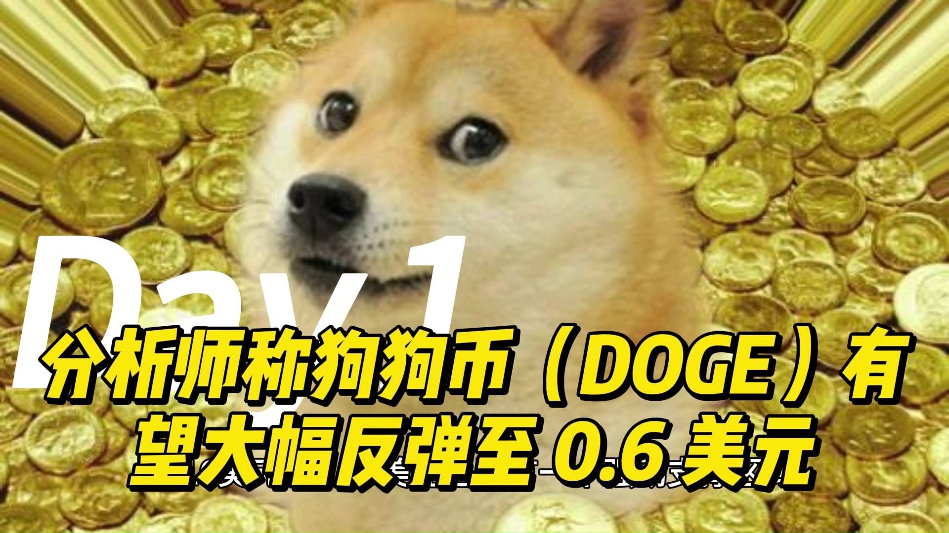 关于狗狗币攀升势惊人，一夜飙升Gate%，加密市场沸腾，震惊市场的信息